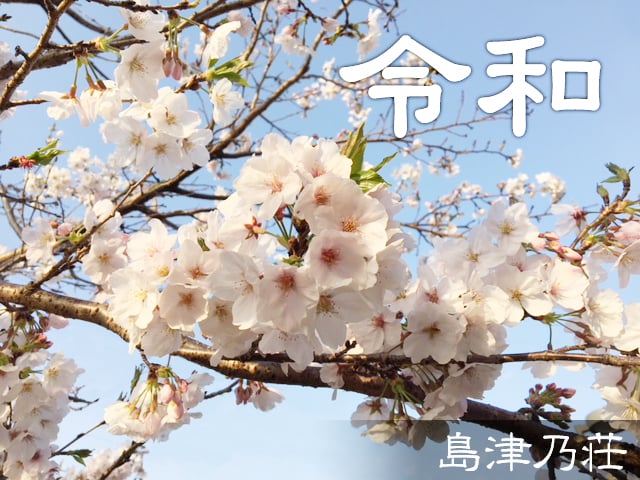 島津乃荘の桜-2