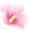 処暑